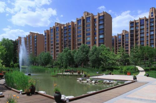 1674186043681637.jpg 10.jpg